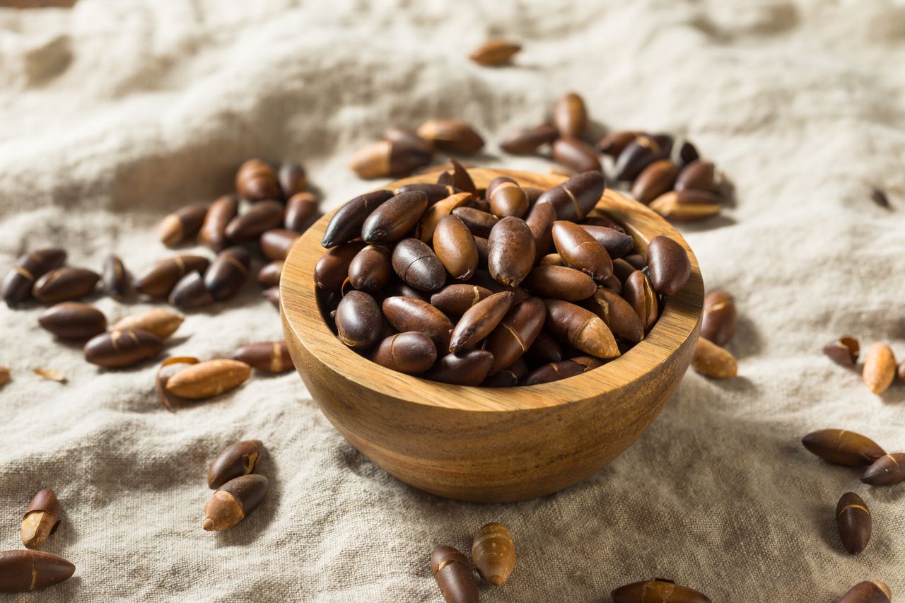 Baru Nuts: The Fleshy Fruit with a High Nutrition- HealthifyMe