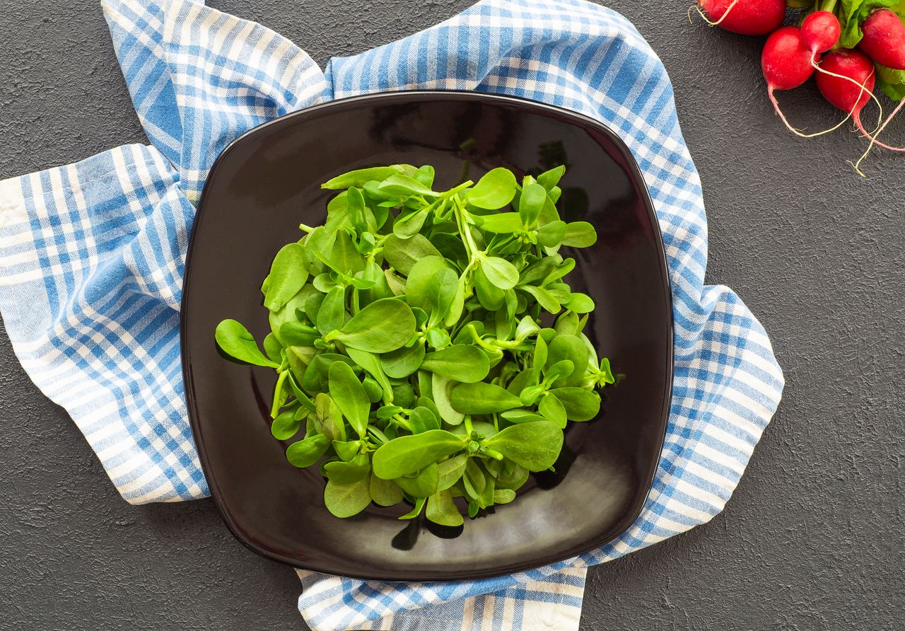 Purslane: A Nutritional and Medicinal Superfood- HealthifyMe