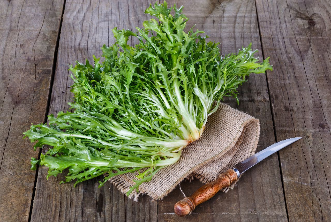 Endives: The Ultimate Guide and Its Health Benefits- HealthifyMe