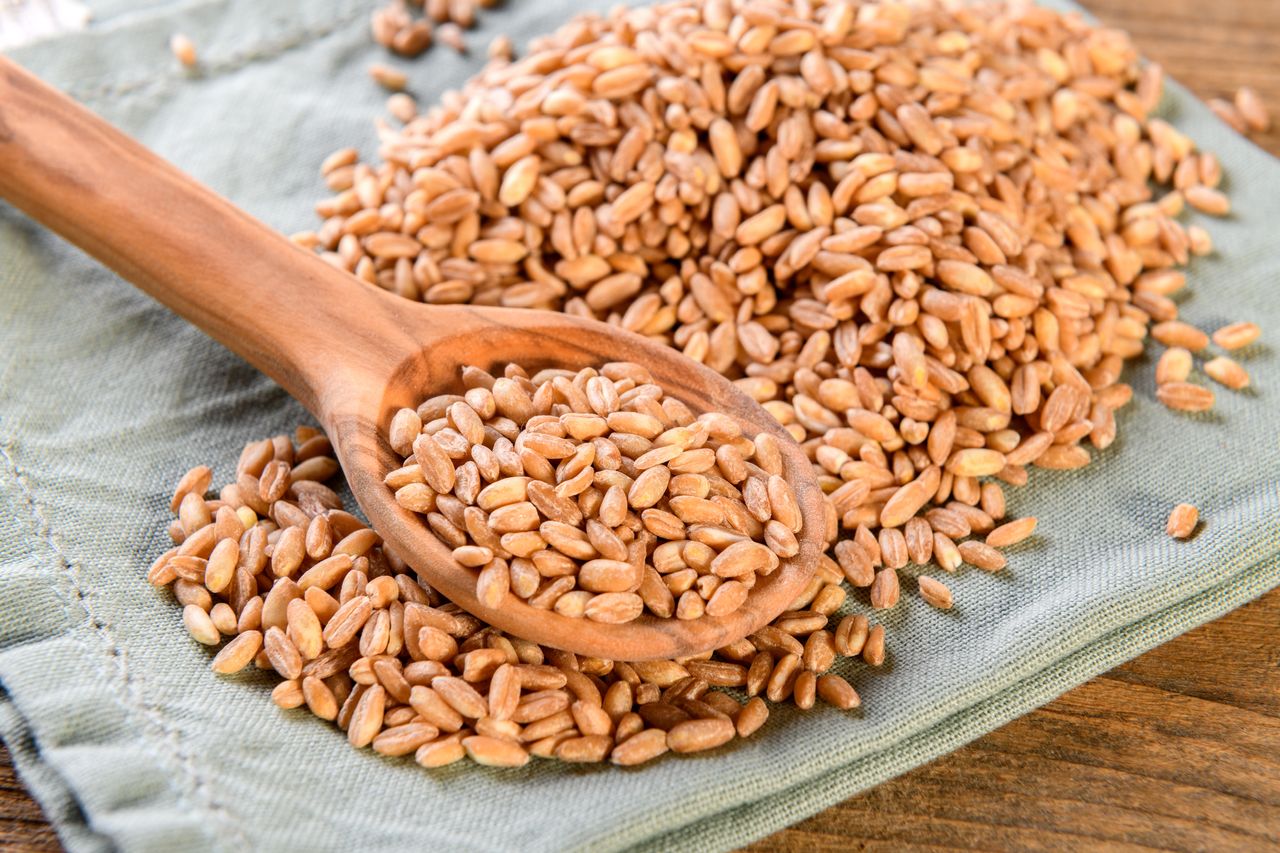 Farro: Health Benefits of this Ancient Grain- HealthifyMe