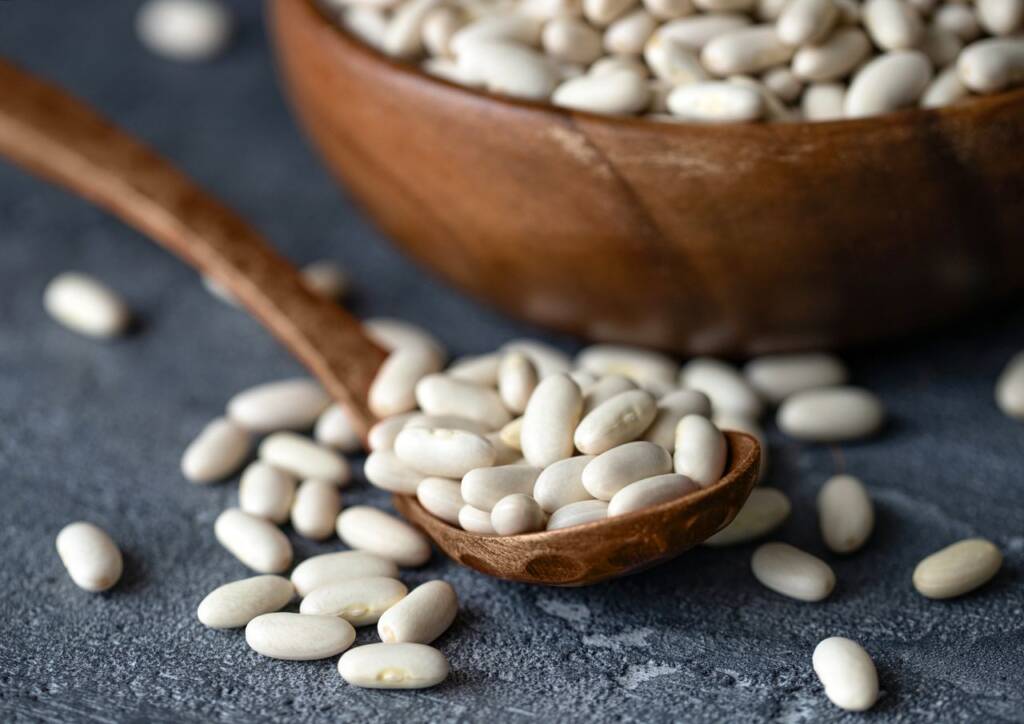 Nutritional Value Of Great Northern White Beans Besto Blog
