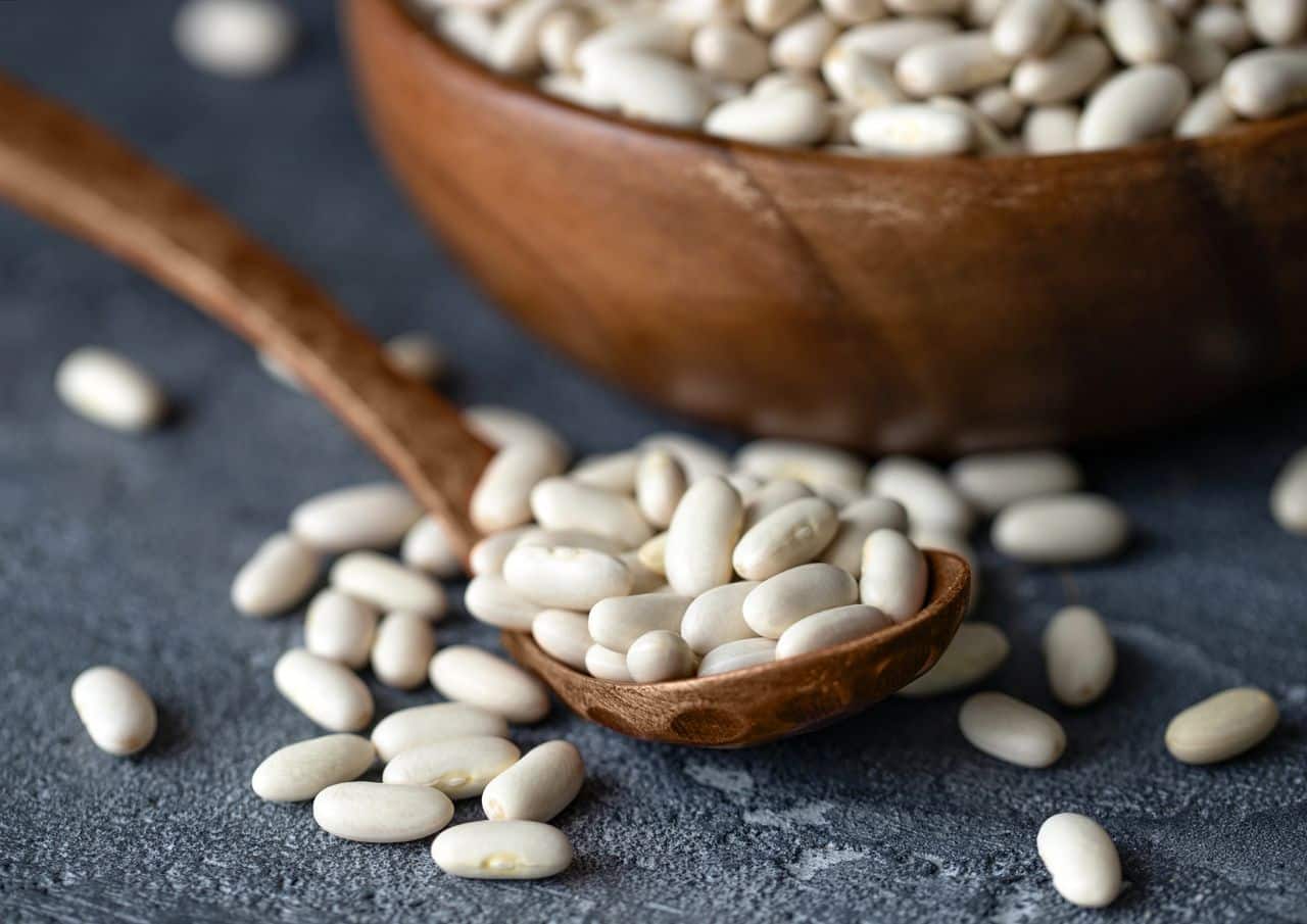 Northern Beans: Health Benefits, and Adverse Effects- HealthifyMe