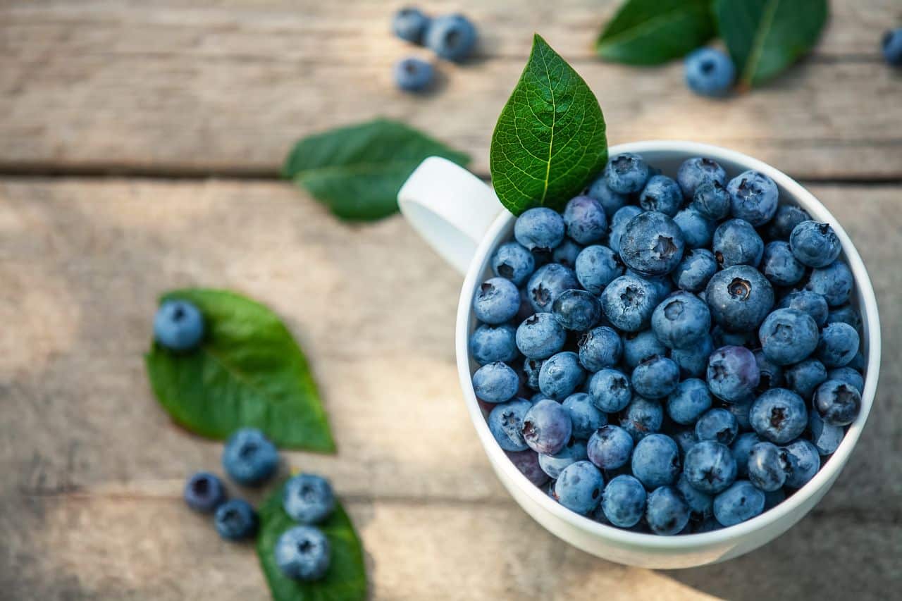 Bilberry: The Underrated Wonder Berry- HealthifyMe
