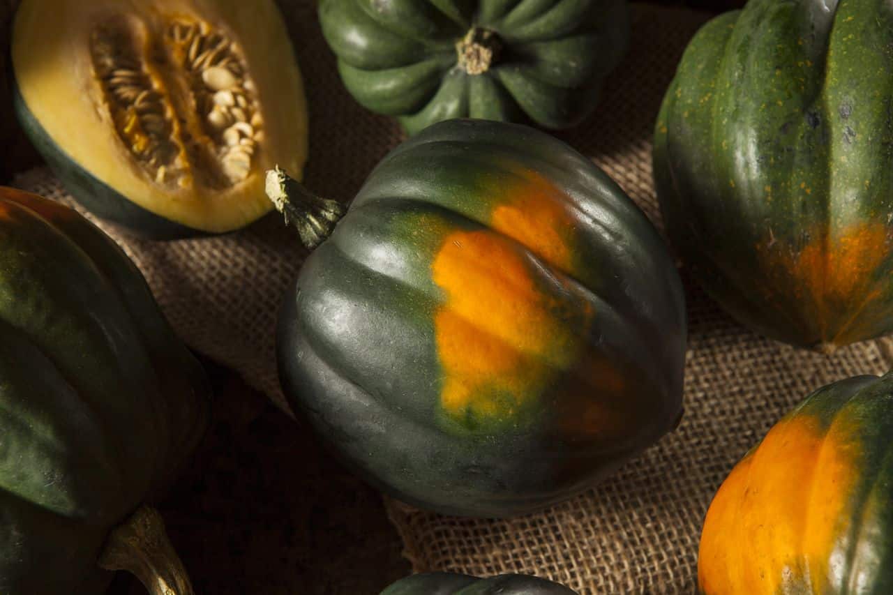 7 Raw Acorn Squash Health Benefits- HealthifyMe