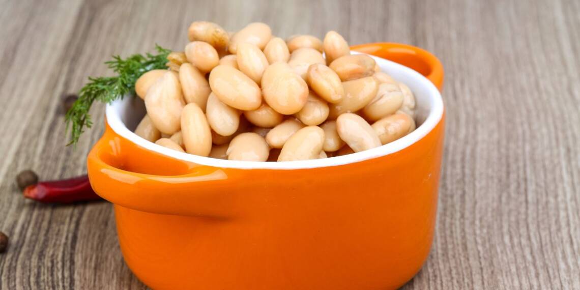 Cannellini Beans The Nutritious White Kidney Beans HealthifyMe
