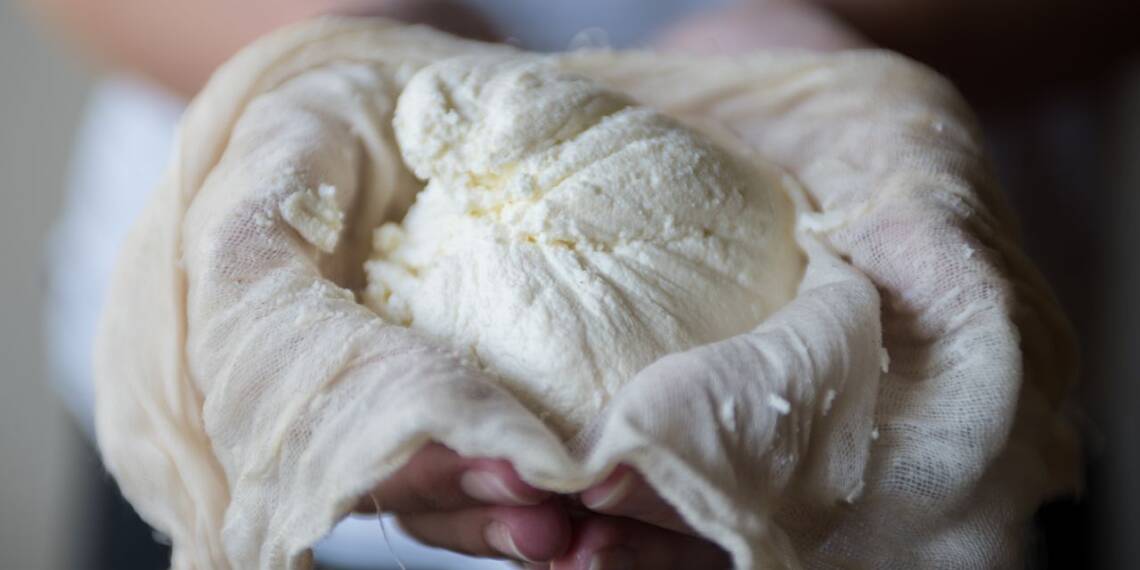 Ricotta Cheese Nutrition, Benefits, And Recipes HealthifyMe