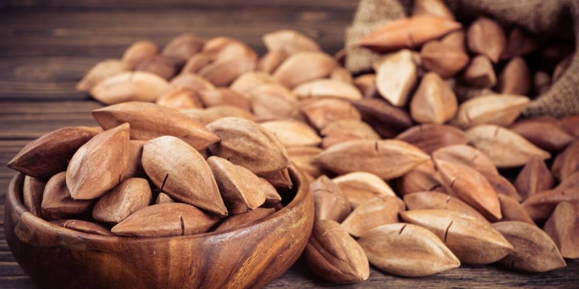 Everything You Should Know About Pili Nuts HealthifyMe
