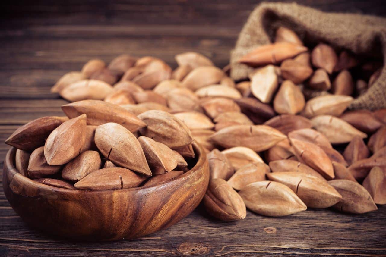 Everything You Should Know About Pili Nuts- HealthifyMe