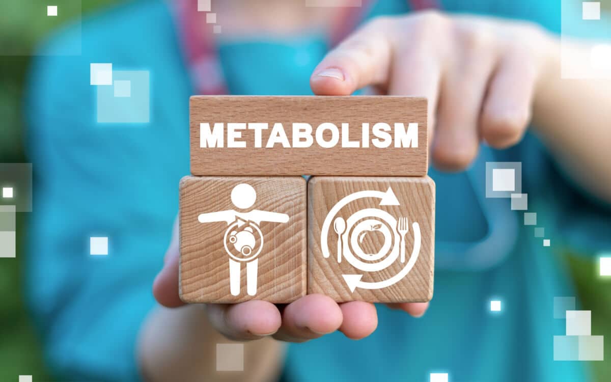 Decoding Metabolism: Understanding the Fundamental Processes of Energy Regulation