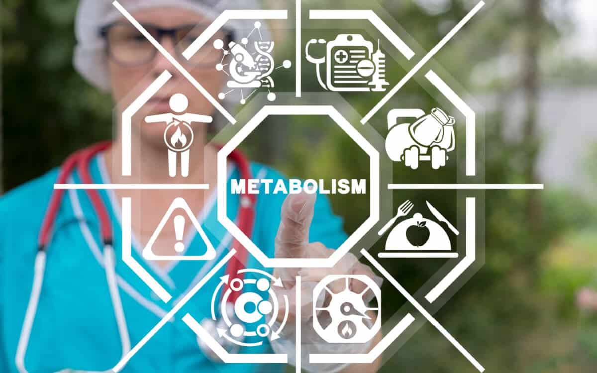 A Link between Metabolic Health and The Brain - HealthifyMe