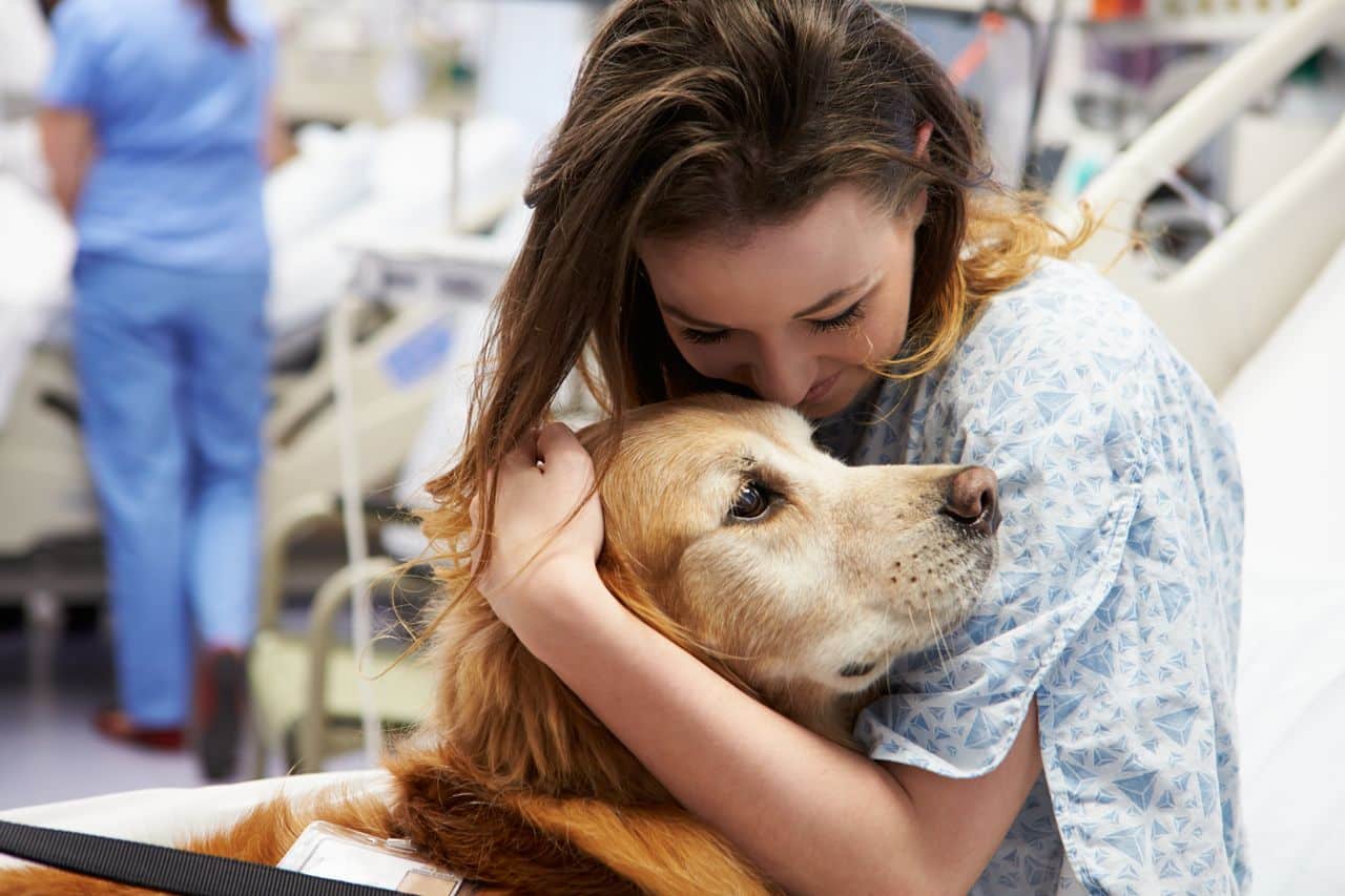Animal Therapy - An Alternate Approach To Wellness- HealthifyMe
