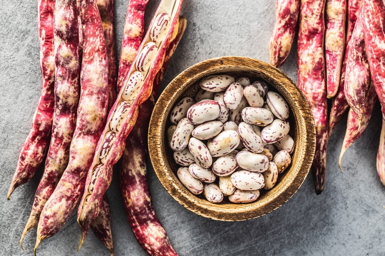 Is Cranberry Bean Good for You?- HealthifyMe