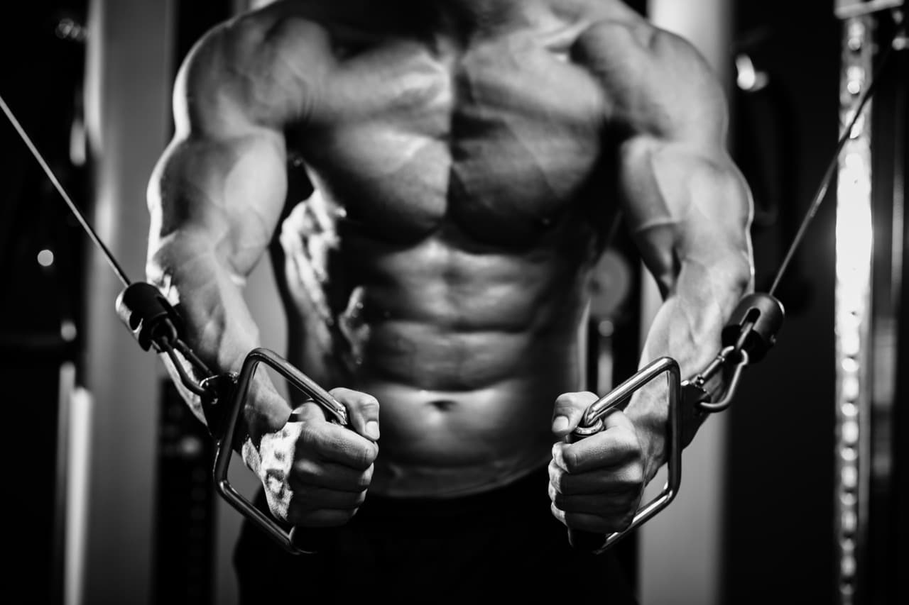 The 6 Best Pro-Tips to Building Muscles