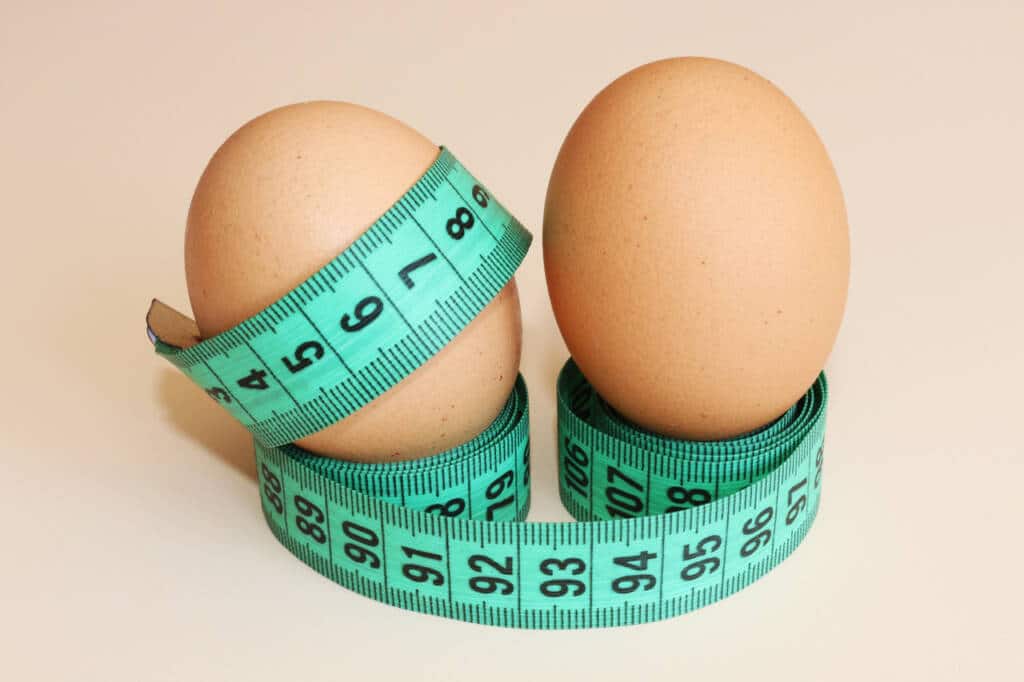 Is Eggs Good For Weight Loss Find Out Blog HealthifyMe is-eggs-good-for-weight-loss-find-out-blog-healthifyme