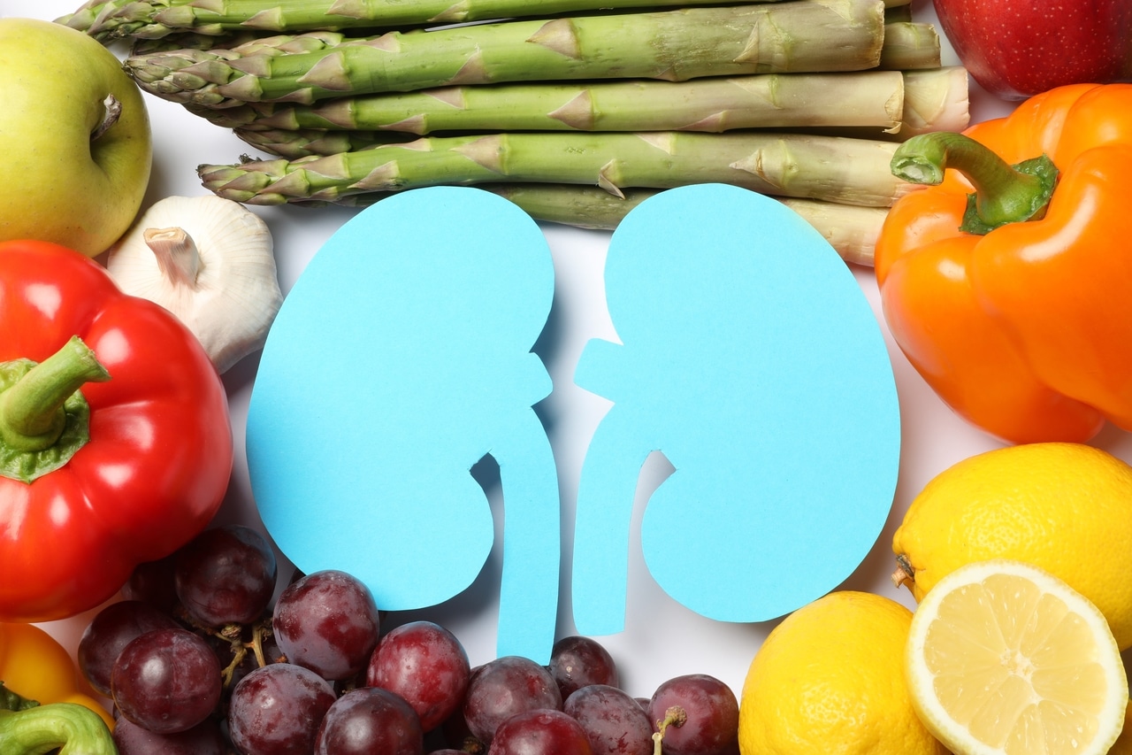 Maintaining Kidney Health with the Renal Diet:A Guide- HealthifyMe