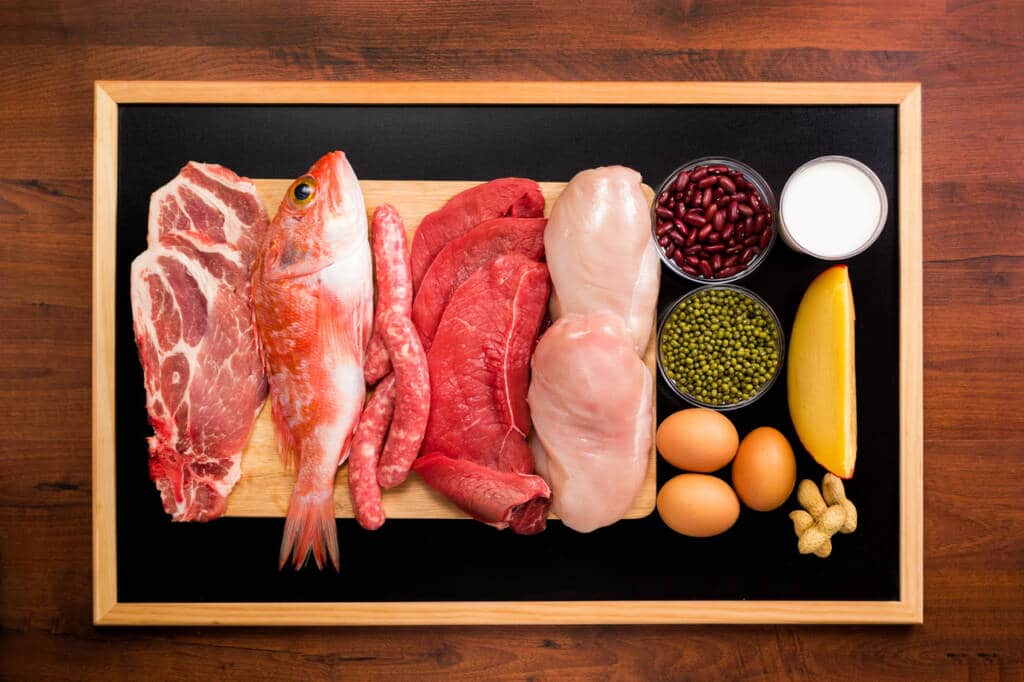 Does High Protein Cause Weight Gain? Decoding The Facts Blog