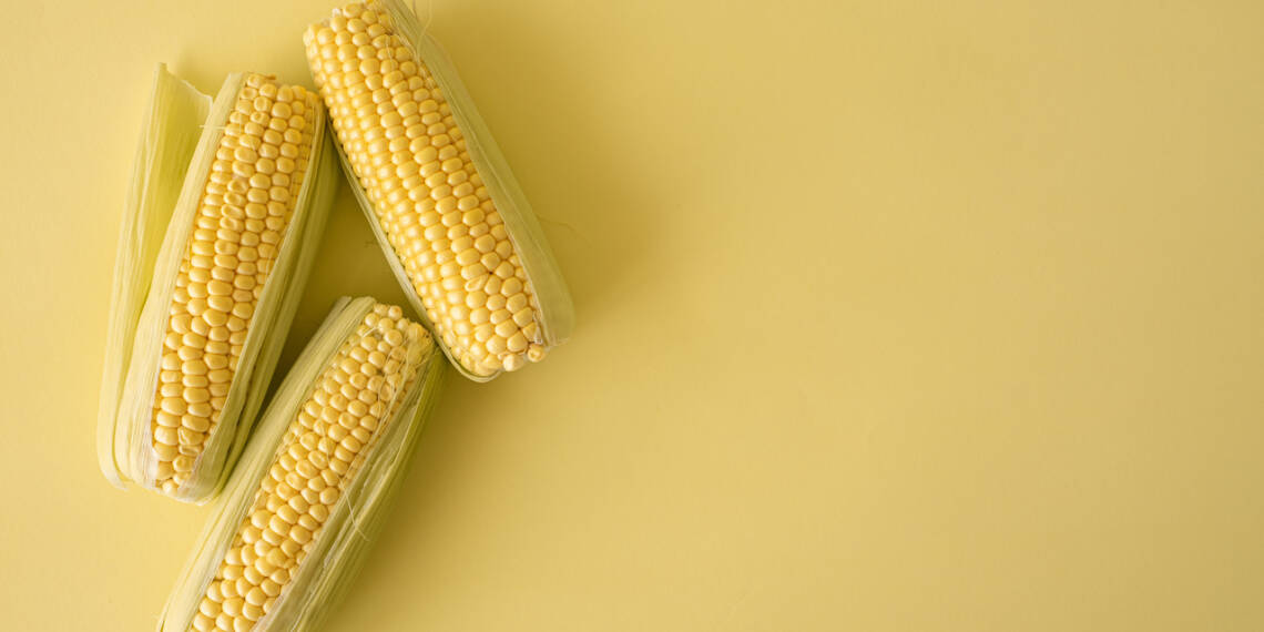 Is Corn Good For Diabetes A Detailed Guide Blog HealthifyMe is-corn-good-for-diabetes-a-detailed-guide-blog-healthifyme