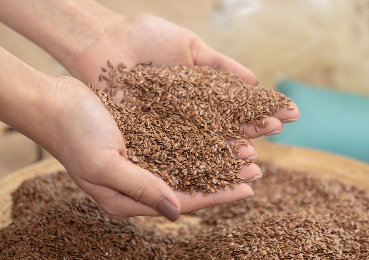 Flax Seeds For Weight Loss - Blog - HealthifyMe