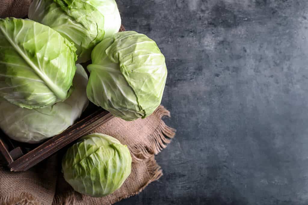 Is Cabbage Good For Diabetics? Let's Find Out Blog HealthifyMe