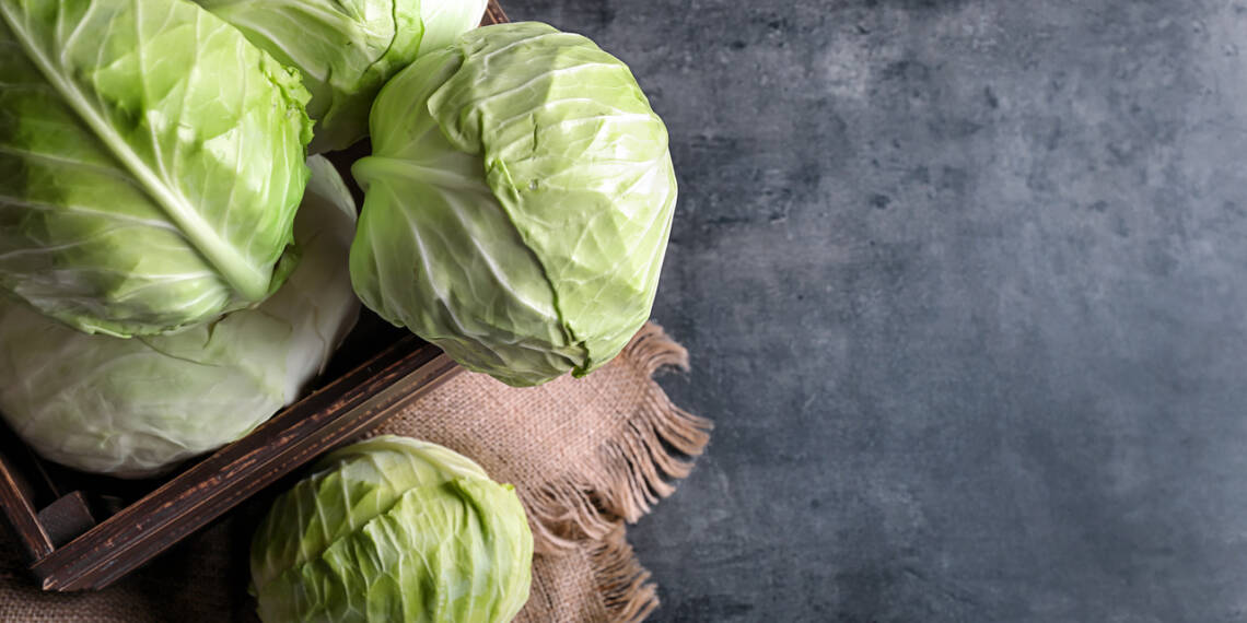 Is Cabbage Good For Diabetics? Let's Find Out Blog HealthifyMe