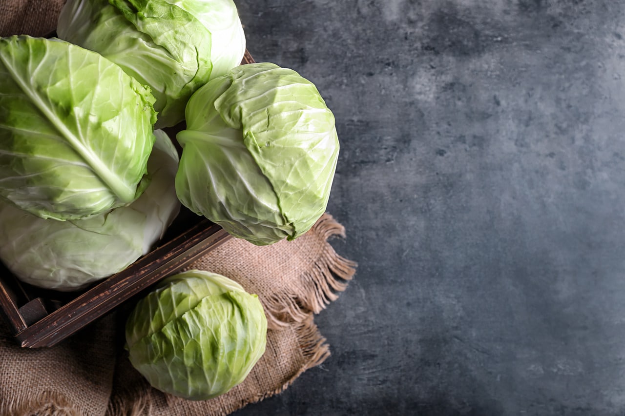 Cabbage for Diabetes: What Does Science Say?- HealthifyMe