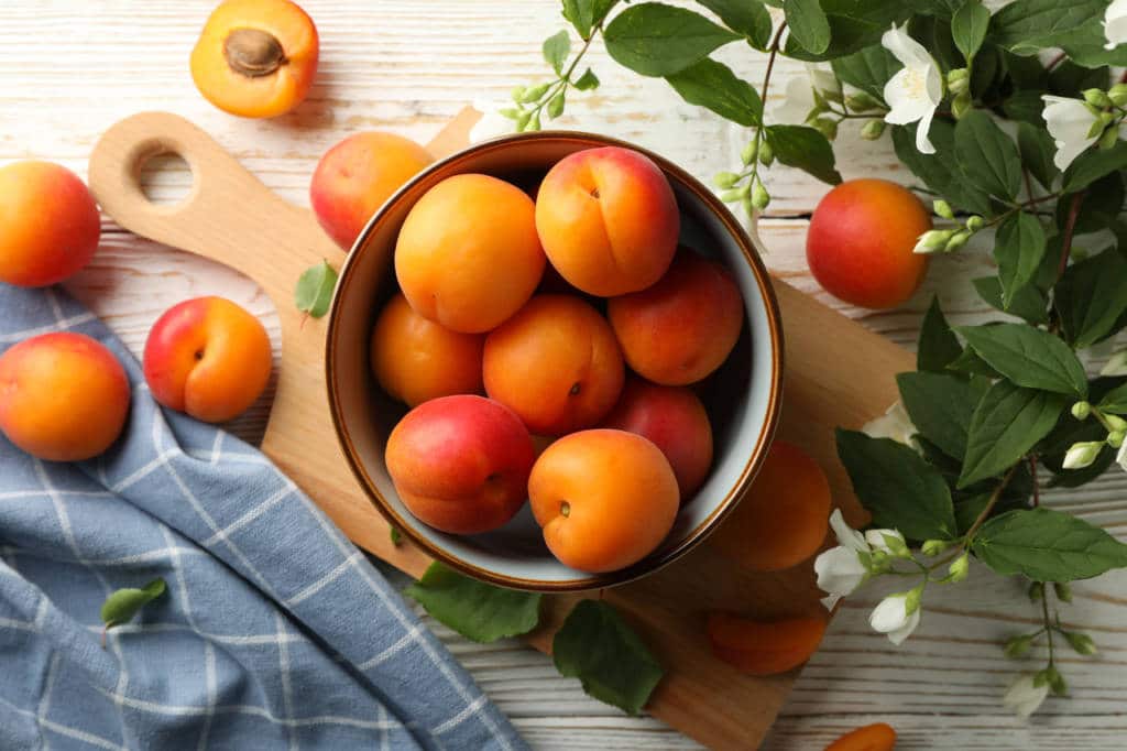 Apricot For Diabetes A Researchbased Guide Blog HealthifyMe