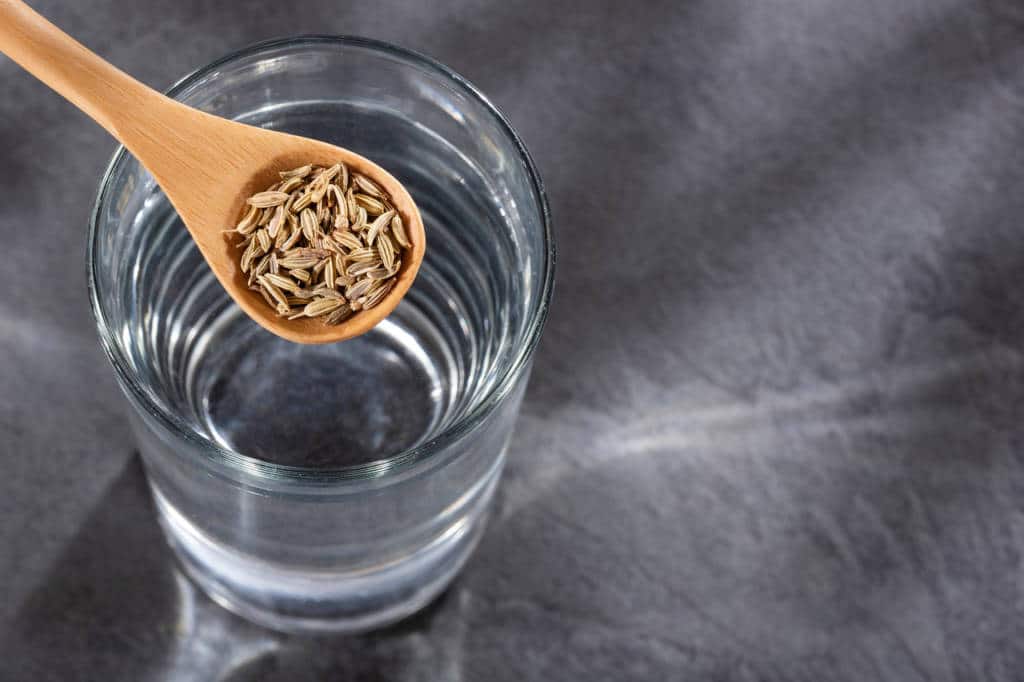 Fennel Water For Weight Loss Blog HealthifyMe