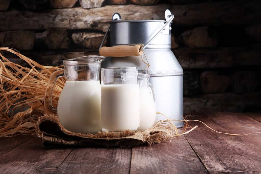Buffalo Milk For Weight Loss Finding The Facts
