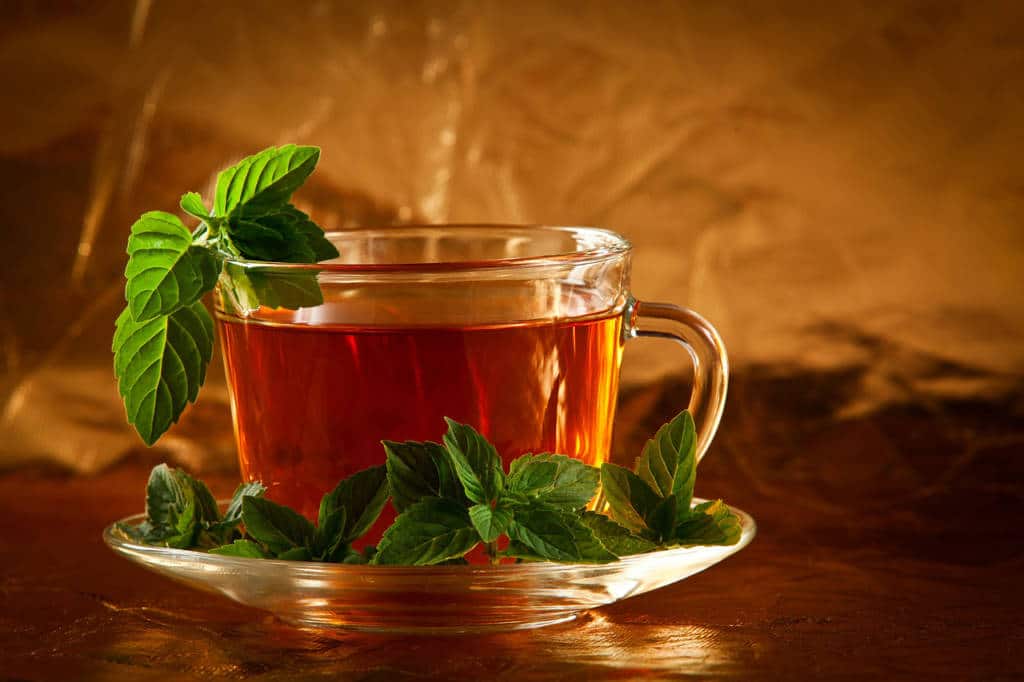 Green Tea For Cholesterol All You Need To Know Blog HealthifyMe