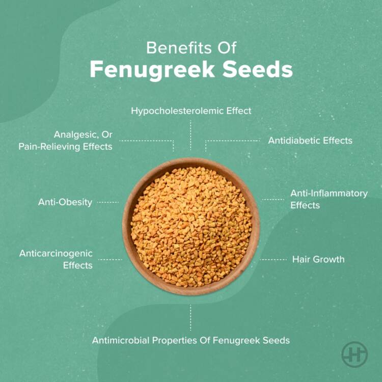 Fenugreek Seeds Benefits, Nutritional Value And Ways To Use HealthifyMe