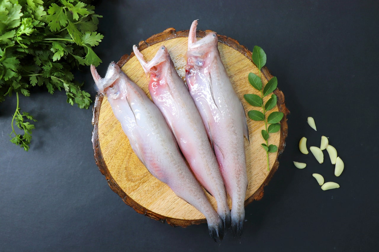 A Fish Devoted To Your Good Well being: HealthifyMe A Fish Devoted To Your Good Well being: HealthifyMe
