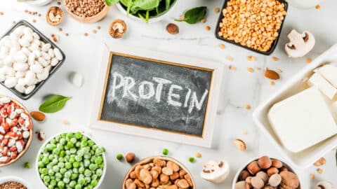 whey protein vs plant protein