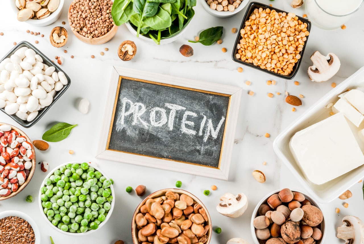whey protein vs plant protein