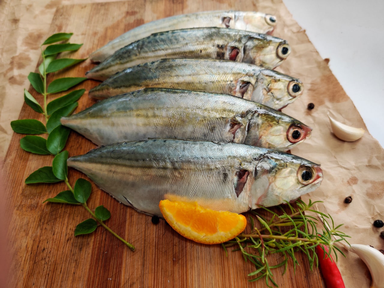 Indian Mackerel