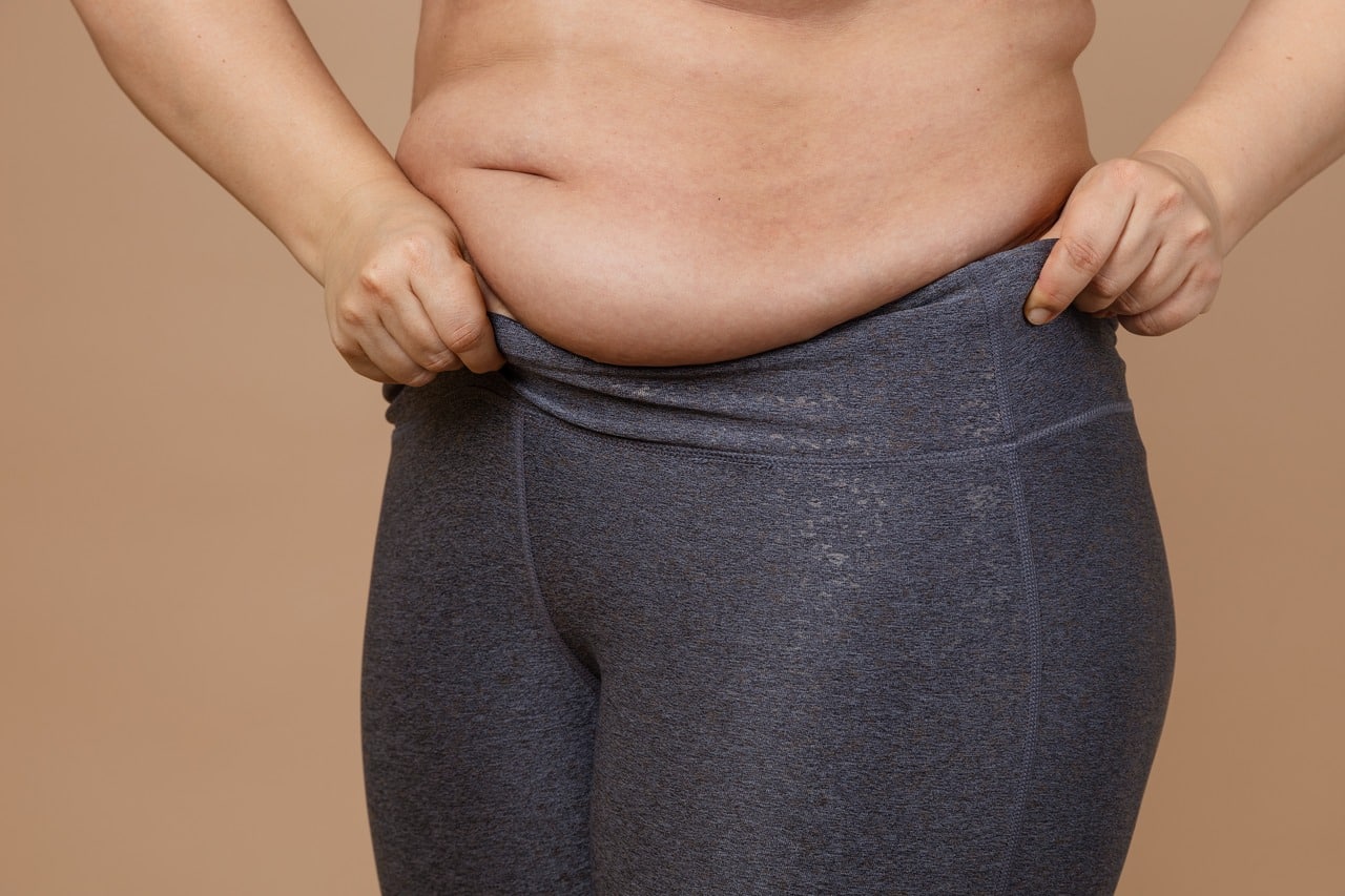 What is Visceral Fat? How to Reduce It?- HealthifyMe