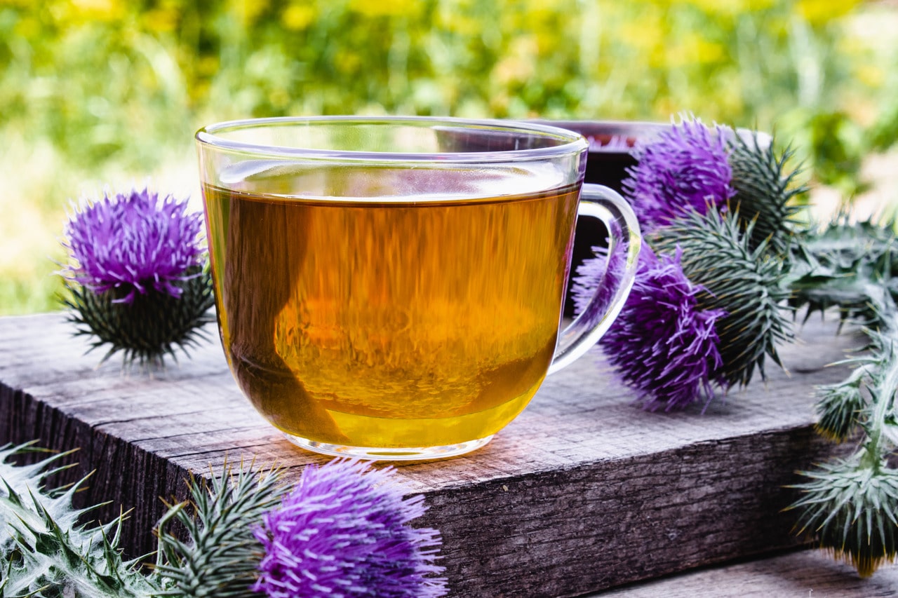 Advantages Of Milk Thistle- HealthifyMe