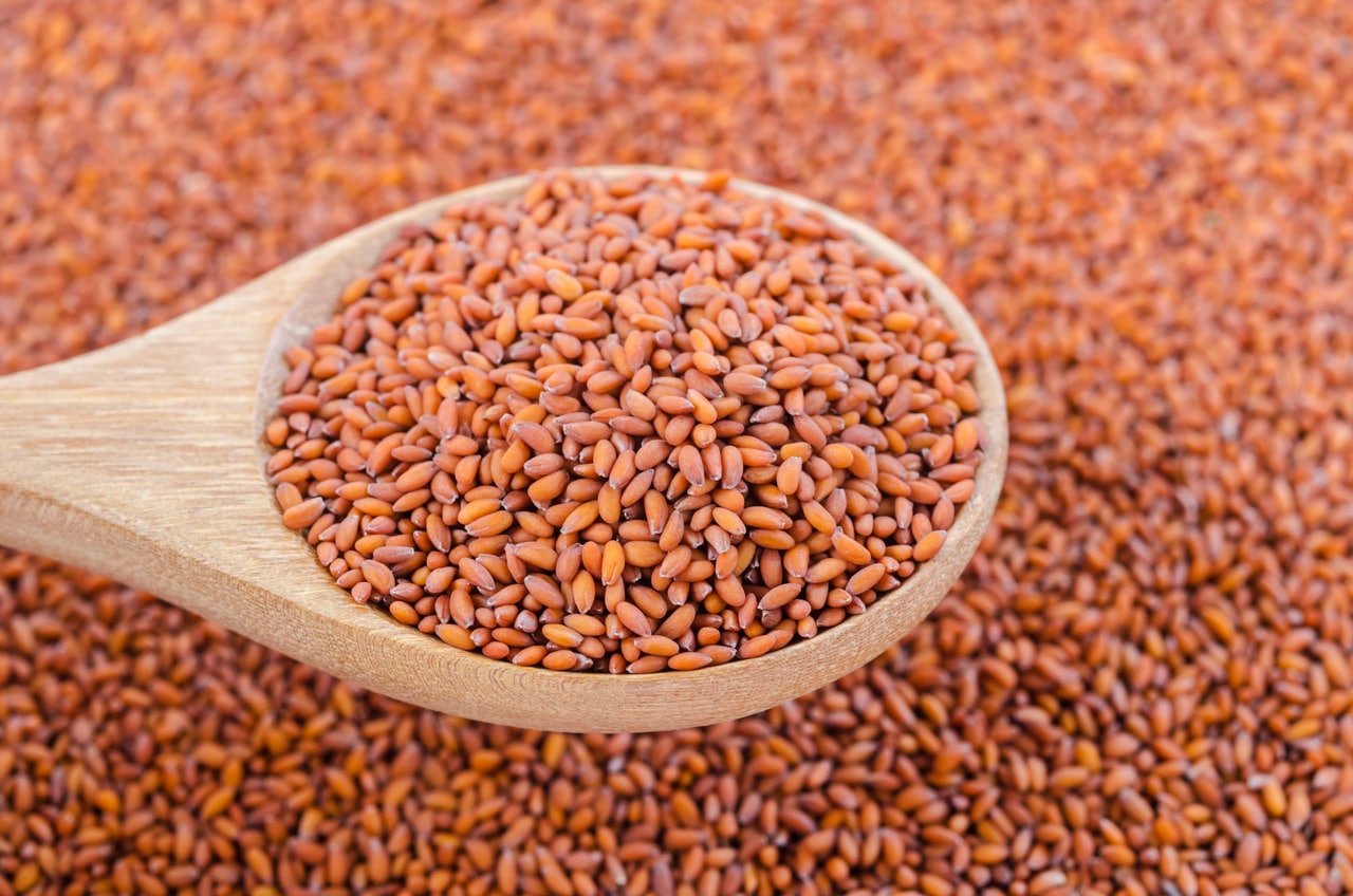 Picture of Halim seeds