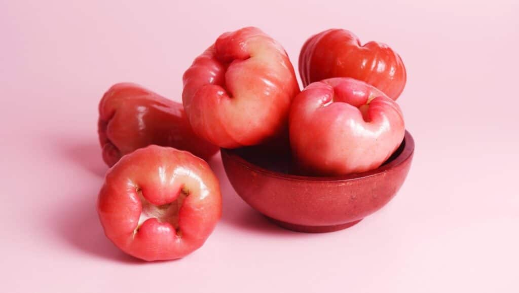 Water Apple Nutritional Profile Health Benefits HealthifyMe water-apple-nutritional-profile-health-benefits-healthifyme