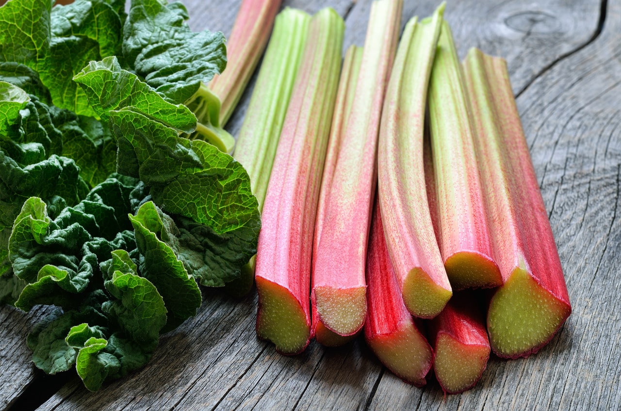 Rhubarb- A Versatile and Delicious Plant- HealthifyMe