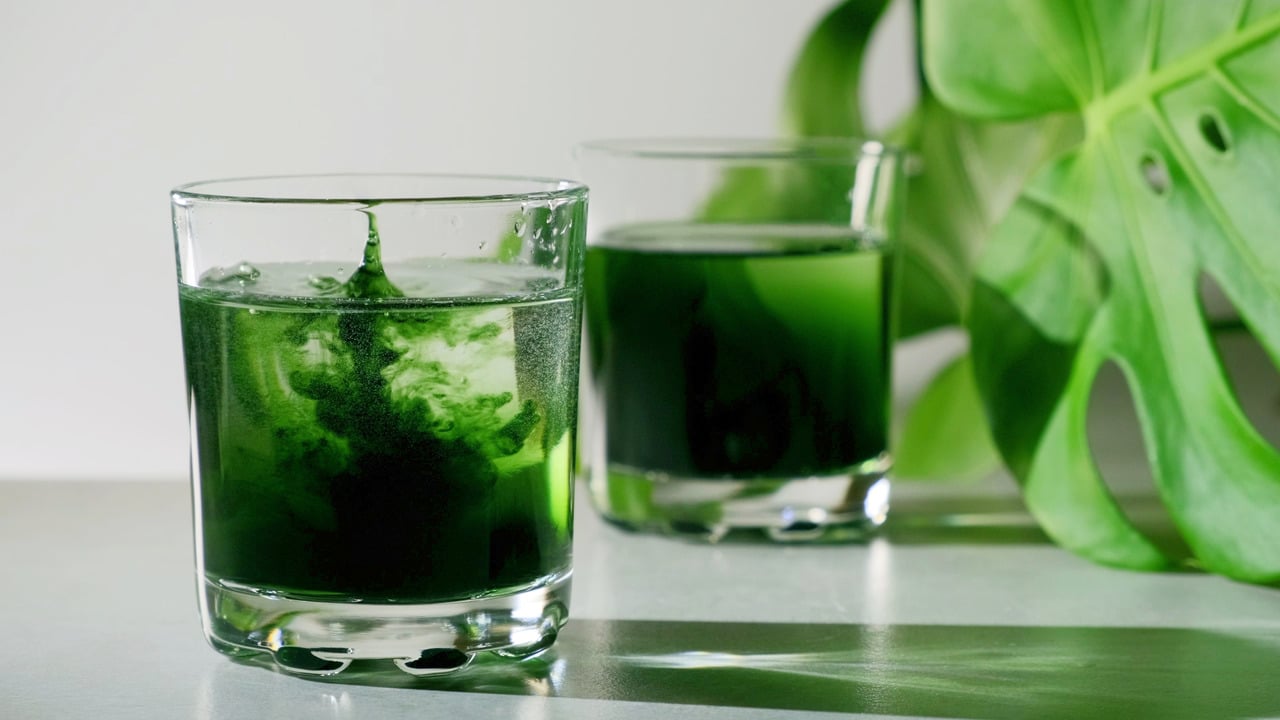 Glass of chlorophyll water