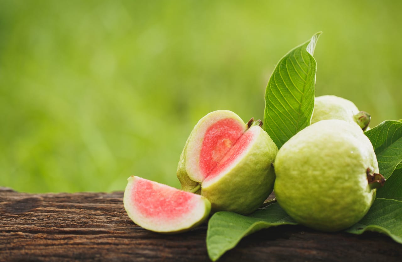 Guava Benefits