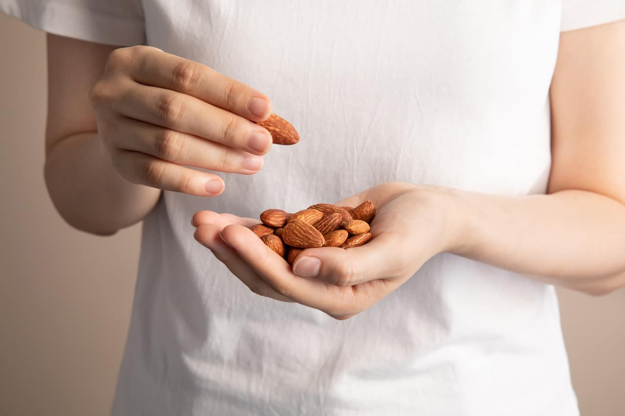 Handful of almonds ModelLight 1 1