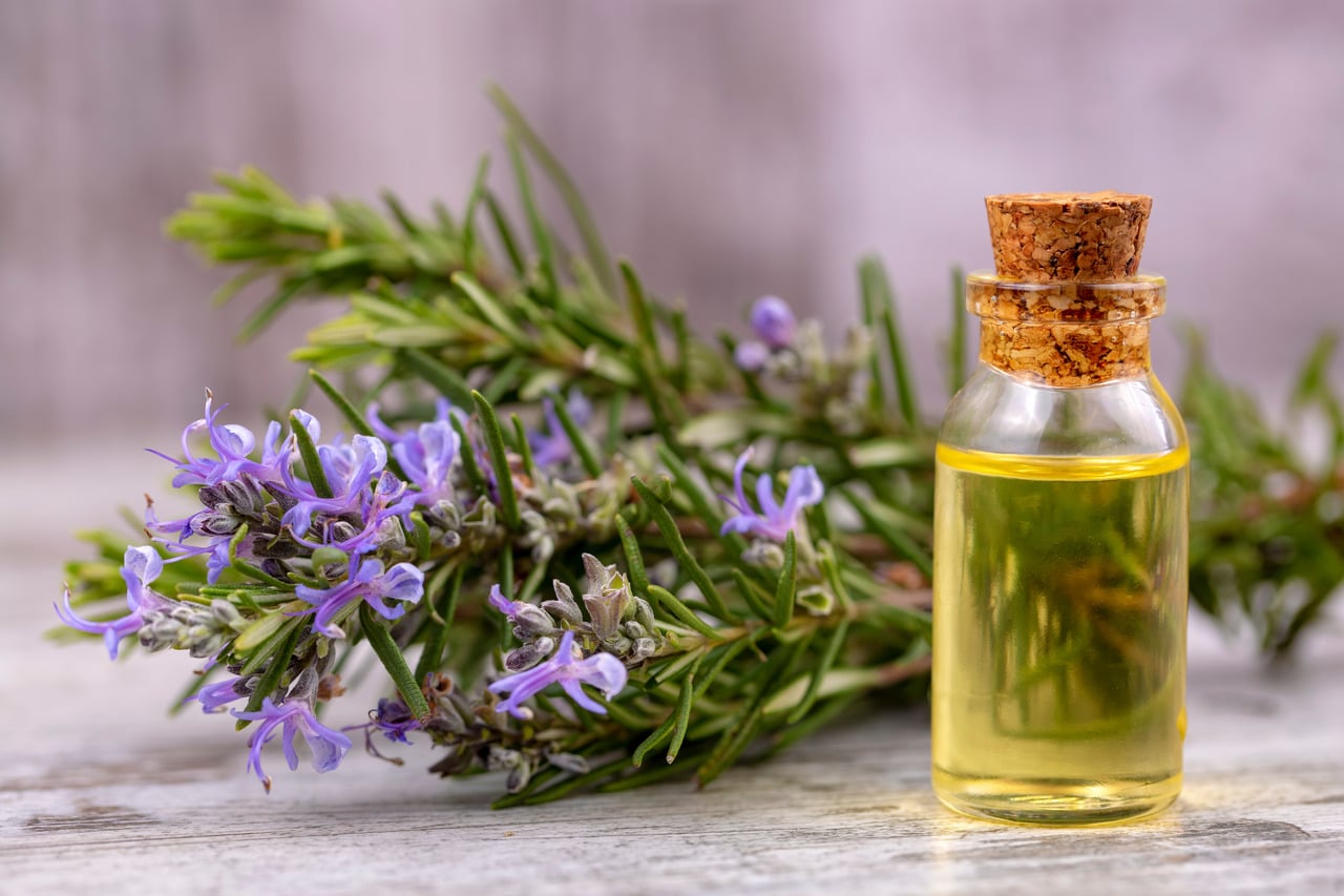 Rosemary oil