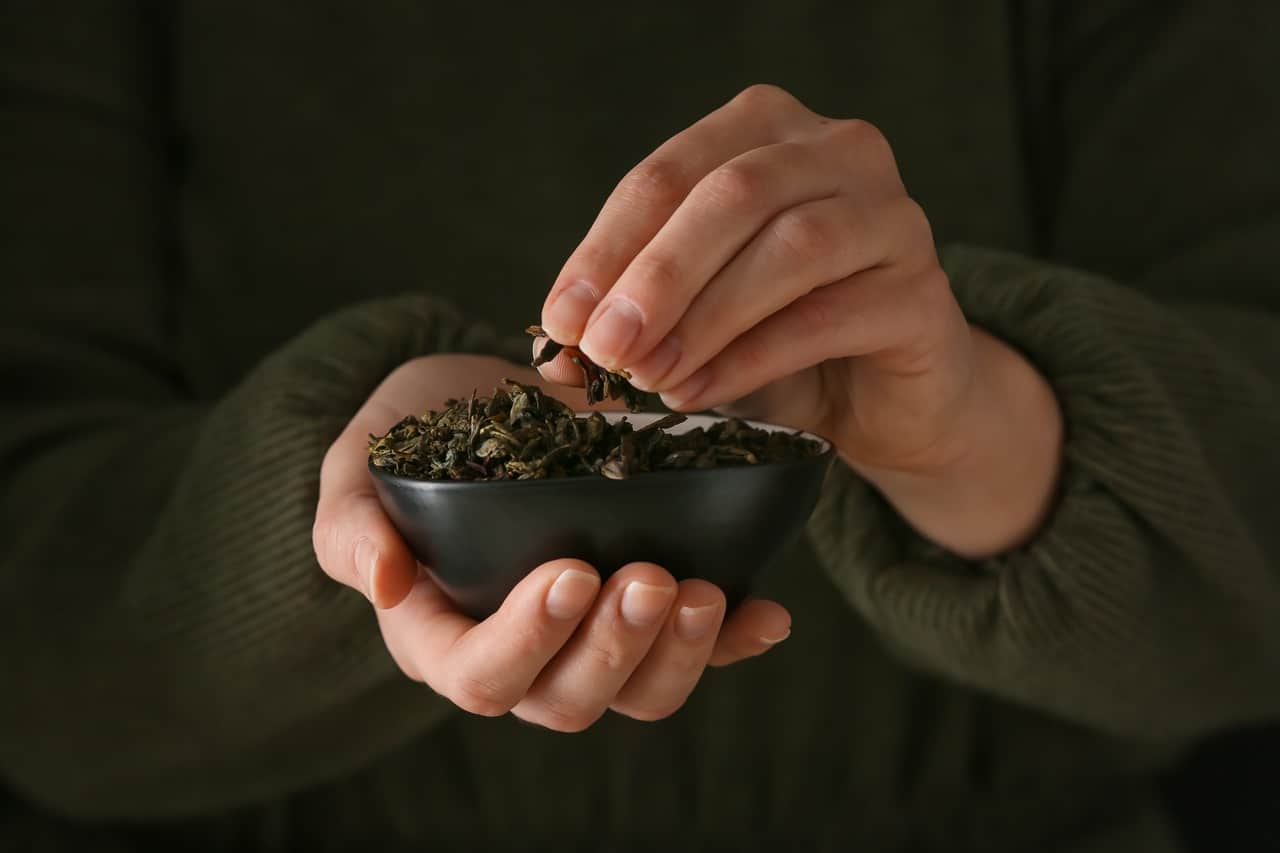 The Well being Advantages Of Inexperienced Tea- HealthifyMe