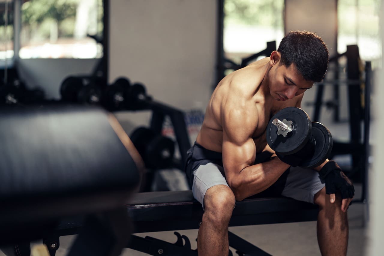 Hypertrophy weight training outlet