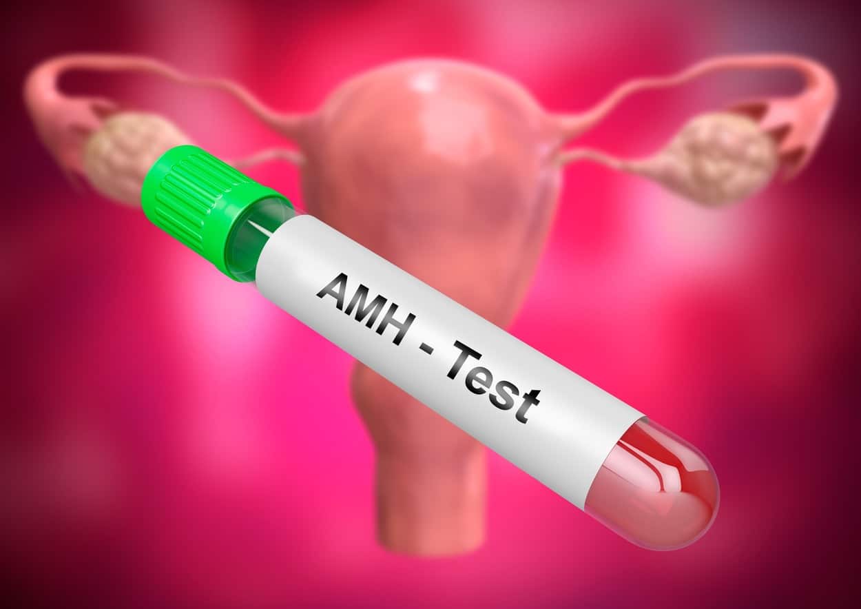 AMH Levels: A Key to Reproductive Health