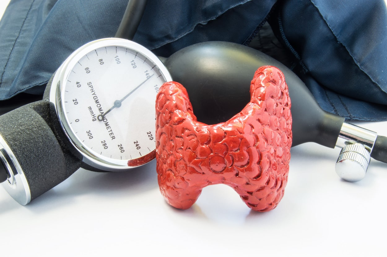 Thyroid & Cholesterol: The Metabolic Interplay
